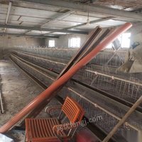 宁夏银川因拆迁蛋鸡养殖设备。低价出售