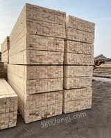 河南濮阳出售木材加工厂加工规格木方