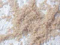 供应人造强化大米生产线-黄金米设备-速食米饭生产设备