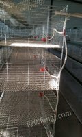 内蒙古鄂尔多斯出售八成新的育雏鸡笼、智能暖风炉、孵化机