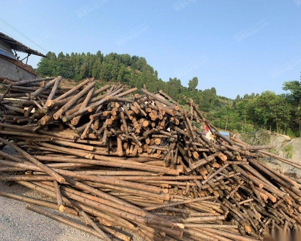 旧木材/板回收