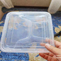 江苏扬州四格快餐盒模具，注塑机 出售