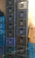 广东江门出售100个塑料箱塑料筐，大的折叠周转箱