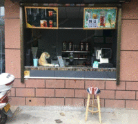 河南南阳因另有发展，奶茶店设备技术原料转让 12000元
