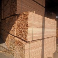 安徽蚌埠出售木材加工厂 工厂店