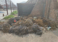江苏徐州现有约1吨废铁屑需处理