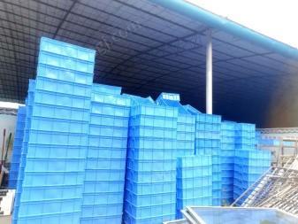 广西南宁大批量塑料箱出售95成新，数量大致一千左右