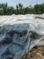 回收大棚塑料编织袋