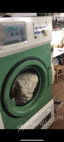 浙江温州干洗店干洗设备干洗机烘干机转让。
