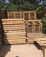 河南漯河长期出售二手实木托盘塑料托盘防潮板垫板