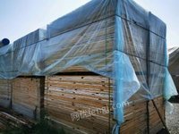 北京大兴区出售二手4x8木材，精品方木，模板