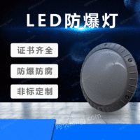 厂家直销40W-80W LED吸顶免维护防爆灯隔爆型LED防爆灯节能灯