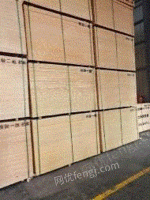 江苏南京低价出售新模板，建筑模板