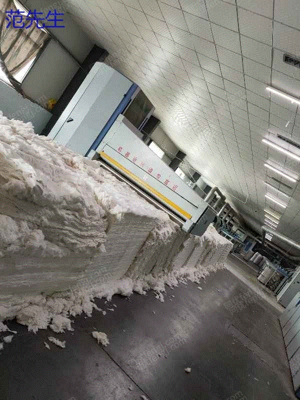 市场现货1204青梳联