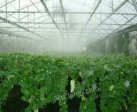 供应漯河市人工造雾设备厂家蔬菜大棚自动加湿喷雾设备