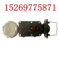 供应DLB-127(36)G矿用隔爆型声光组合电铃