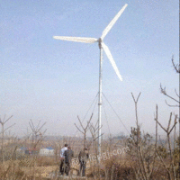 供应草原牧场用风力发电机安装方便操作简单质量好
