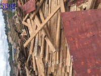广东长期回收工地处理木模板