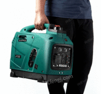 雷吉姆1kw发电机小型出售