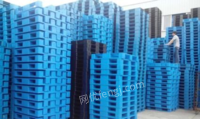 上海松江区低价出售一批塑料托盘木托盘
