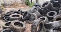回收各类大小废旧轮胎