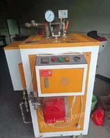 出售蒸汽发生器（蒸汽设备），100公斤