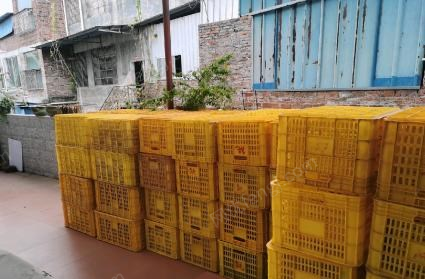 广西贺州水果篮，水果框出售