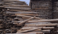 河北郑州大量回收废旧模版方木2000吨
