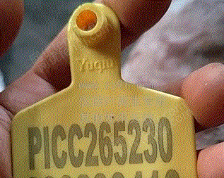 工程废塑料转让