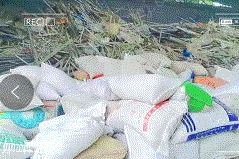 通用废塑料出售