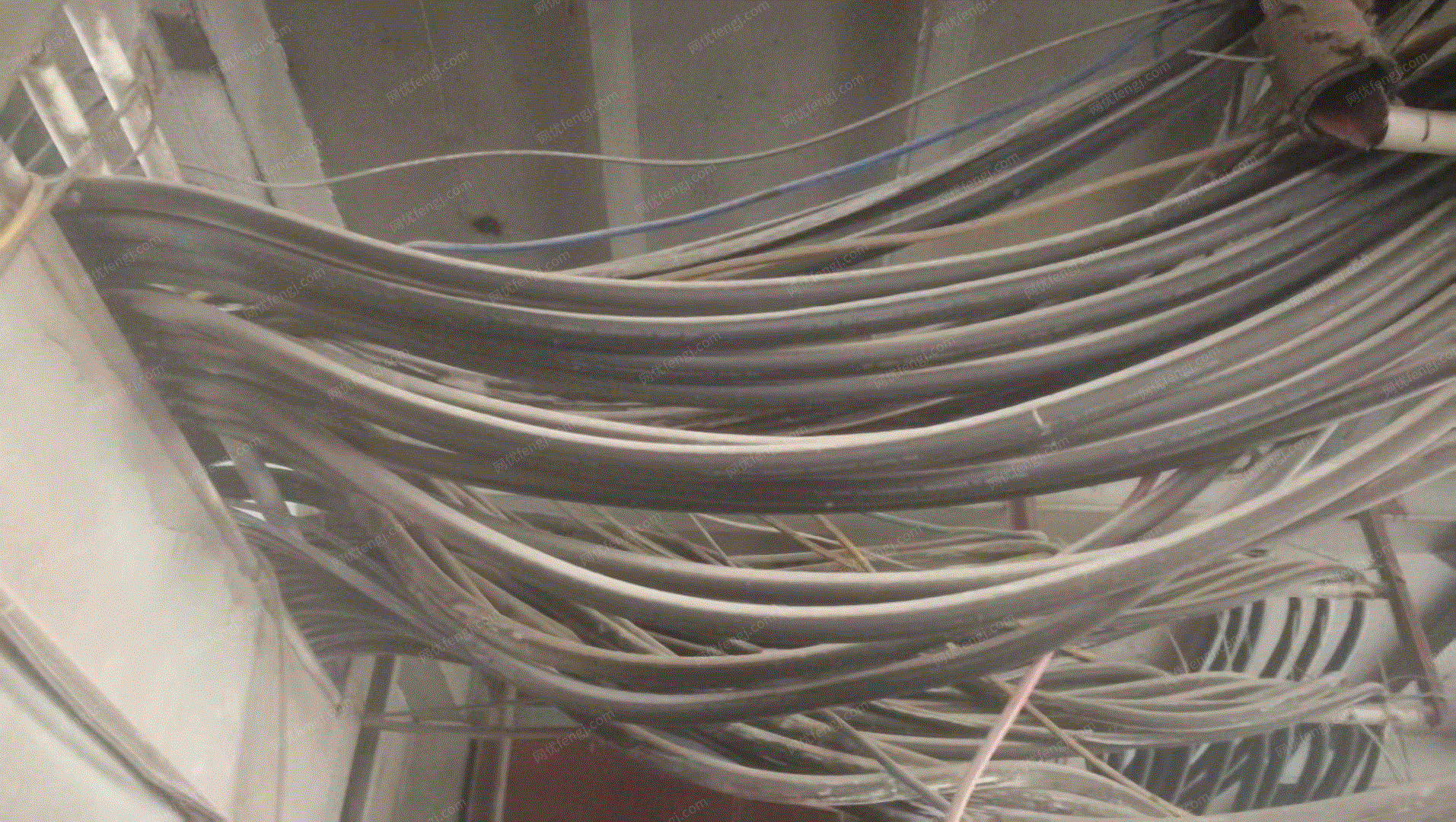 砂石厂就近处理1000米铜丝线缆，货在广西贵港，要求现场看货议价，低价勿扰，详见图