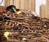 常年回收各种木材