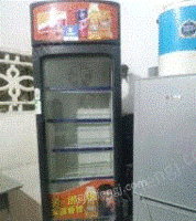 广东揭阳展示柜冰箱出售
