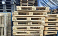 山东青岛出售木托盘 塑料托盘