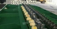 甜瓜选果机分级机 水果分大小好机器出售
