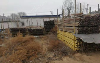 青海西宁大量打包出售工程架管1米到6米100多吨.搅拌机.发电机.地泵等等