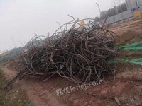 四川大量回收废钢铁