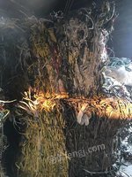 江西长期大量回收有色金属 江西长期大量回收有色金属