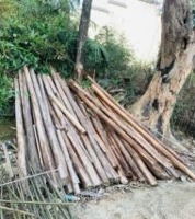 江西景德镇剩余木头出售