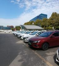 其他新能源汽车出售