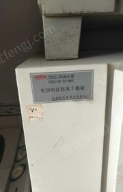 陕西西安闲置上海跃进9246/9247恒温古风干燥机2个低价出售  试验室用