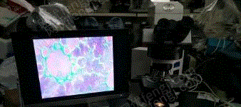 二手儀器設備出售