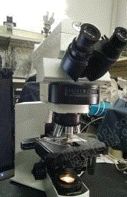 二手儀器設備出售