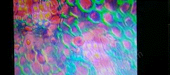 二手儀器設備價格