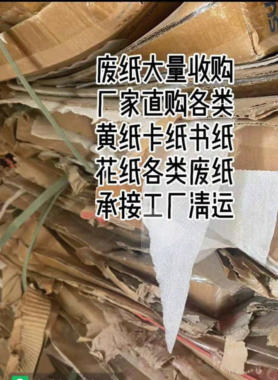 废黄板纸出售