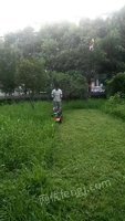 成都市电动草坪机自走割草机轮式除草机