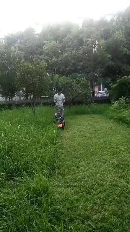 成都市电动草坪机自走割草机轮式除草机 视频