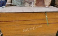 重庆渝北区出售模板木方竹跳