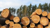 山西朔州自己家用木料、木材，椽、檩、板一批打包出售
