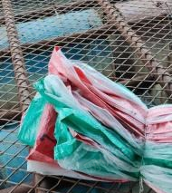 广西梧州大量内膜蛇皮编织袋出售 大约10万条
